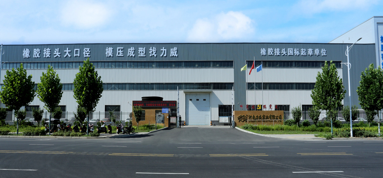Henan Liwei Industry Co., Ltd. productielijn van de fabrikant